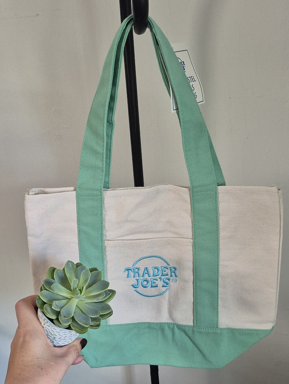 The VIRAL Trader Joes Mini Mint Green and Cream Canvas Pastel Tote Bag